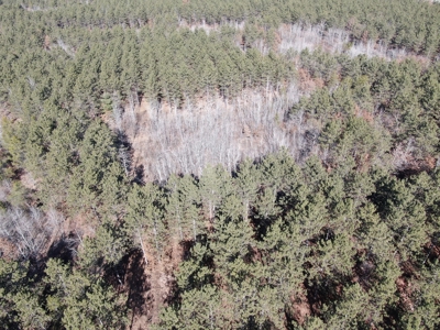 Nestled in Juneau County Wisconsin 200-acre tract of land - image 6