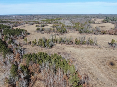 Nestled in Juneau County Wisconsin 200-acre tract of land - image 25