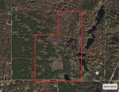 Nestled in Juneau County Wisconsin 200-acre tract of land - image 2