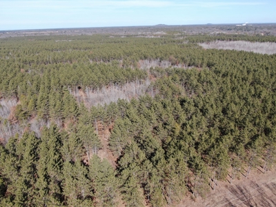 Nestled in Juneau County Wisconsin 200-acre tract of land - image 5
