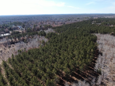 Nestled in Juneau County Wisconsin 200-acre tract of land - image 31