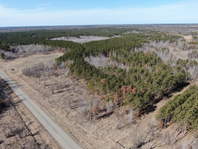 Nestled in Juneau County Wisconsin 200-acre tract of land - image 1