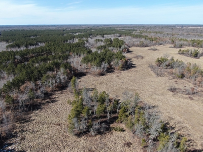 Nestled in Juneau County Wisconsin 200-acre tract of land - image 28
