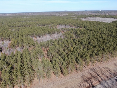 Nestled in Juneau County Wisconsin 200-acre tract of land - image 4