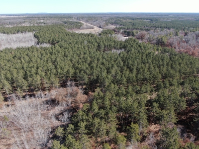 Nestled in Juneau County Wisconsin 200-acre tract of land - image 11