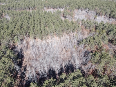 Nestled in Juneau County Wisconsin 200-acre tract of land - image 7