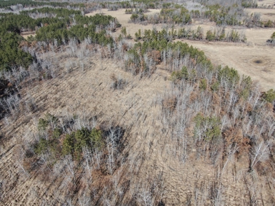 Nestled in Juneau County Wisconsin 200-acre tract of land - image 24