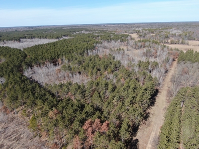 Nestled in Juneau County Wisconsin 200-acre tract of land - image 20