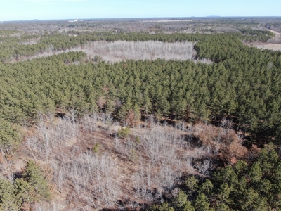 Nestled in Juneau County Wisconsin 200-acre tract of land - image 12