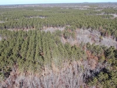 Nestled in Juneau County Wisconsin 200-acre tract of land - image 8