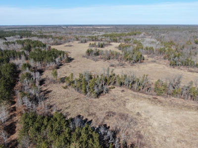 Nestled in Juneau County Wisconsin 200-acre tract of land - image 26