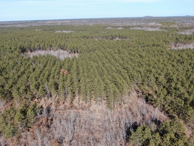 Nestled in Juneau County Wisconsin 200-acre tract of land - image 14