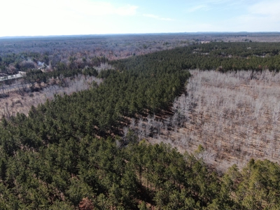 Nestled in Juneau County Wisconsin 200-acre tract of land - image 30