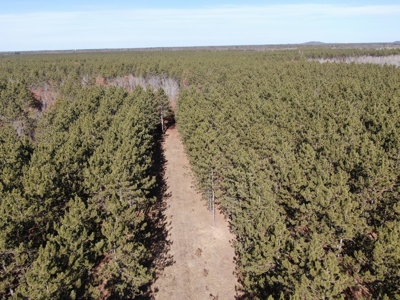 Nestled in Juneau County Wisconsin 200-acre tract of land - image 32