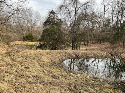 Land For Sale - image 2