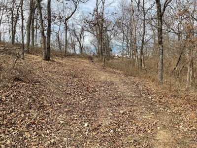 Land For Sale - image 3