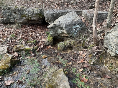 Land For Sale - image 16