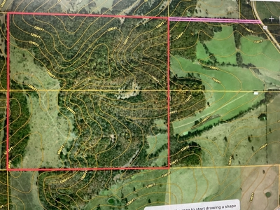 Land For Sale - image 1