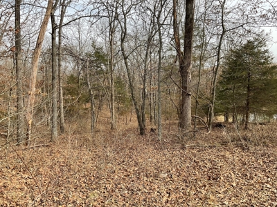 Land For Sale - image 21