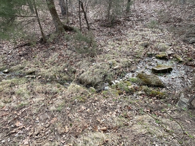Land For Sale - image 17
