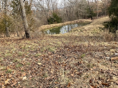 Land For Sale - image 33