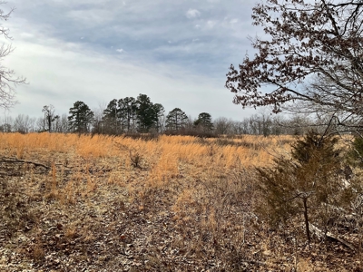 Land For Sale - image 11