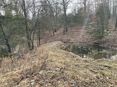 Land For Sale - image 6