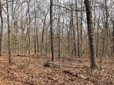 Land For Sale - image 18