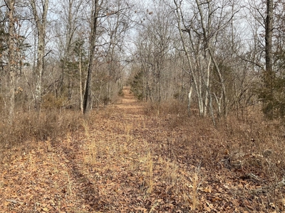 Land For Sale - image 9