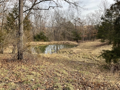 Land For Sale - image 7