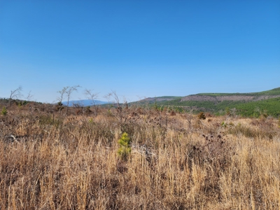 26.7 Acre Off-Grid Cabin Building Location – Mountain Views - image 7