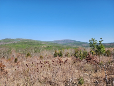 26.7 Acre Off-Grid Cabin Building Location – Mountain Views - image 1