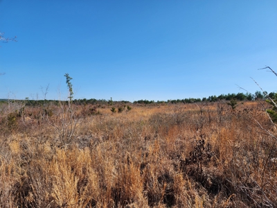 26.7 Acre Off-Grid Cabin Building Location – Mountain Views - image 8