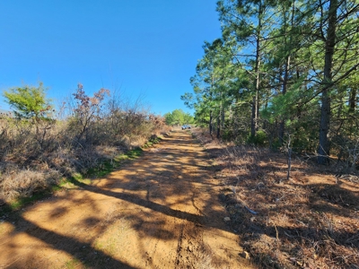 26.7 Acre Off-Grid Cabin Building Location – Mountain Views - image 10