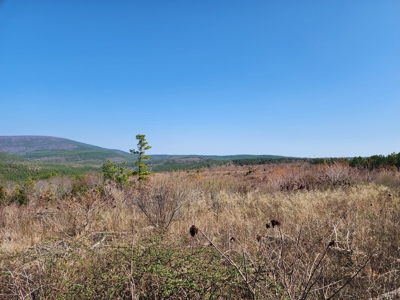 26.7 Acre Off-Grid Cabin Building Location – Mountain Views - image 2