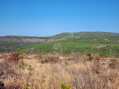 26.7 Acre Off-Grid Cabin Building Location – Mountain Views - image 6