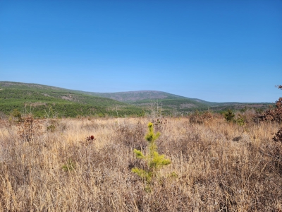 26.7 Acre Off-Grid Cabin Building Location – Mountain Views - image 4