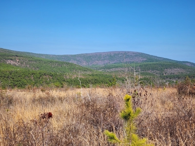 26.7 Acre Off-Grid Cabin Building Location – Mountain Views - image 5
