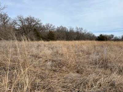 Kansas Land For Sale- Harper County- Unit 16 - image 12
