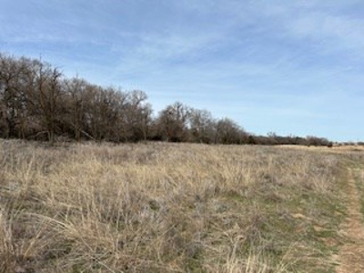 Kansas Land For Sale- Harper County- Unit 16 - image 5