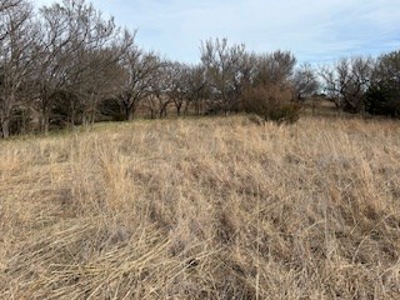 Kansas Land For Sale- Harper County- Unit 16 - image 13