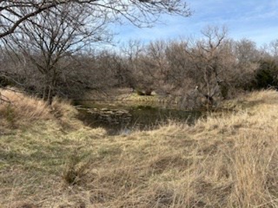 Kansas Land For Sale- Harper County- Unit 16 - image 7