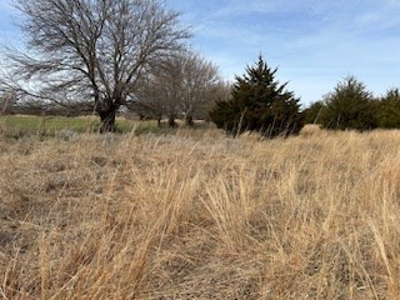 Kansas Land For Sale- Harper County- Unit 16 - image 11