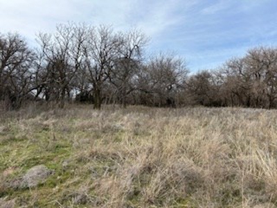 Kansas Land For Sale- Harper County- Unit 16 - image 4