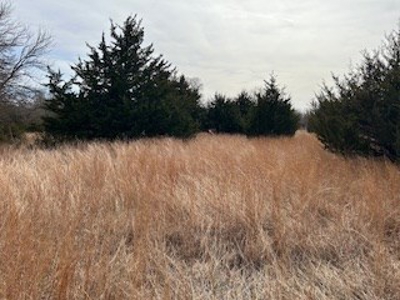 Kansas Land For Sale- Harper County- Unit 16 - image 14