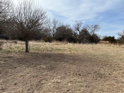 Kansas Land For Sale- Harper County- Unit 16 - image 6