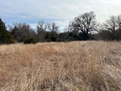 Kansas Land For Sale- Harper County- Unit 16 - image 10