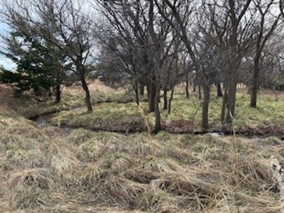 Kansas Land For Sale- Harper County- Unit 16 - image 8