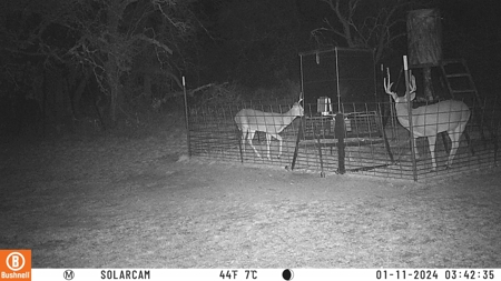 Turnkey Hunting Ranch and Cabin in Cisco, Texas on 66 Acres - image 43