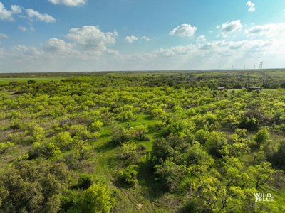 Turnkey Hunting Ranch and Cabin in Cisco, Texas on 66 Acres - image 17